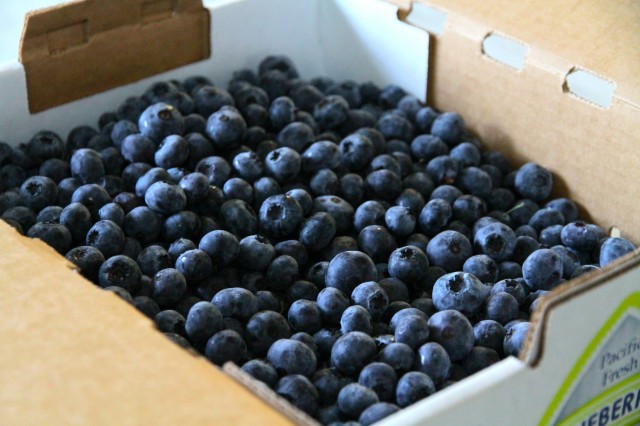 Blueberries for a crumble or two!