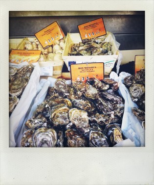 Oysters at the market