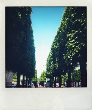 Walking to Versailles