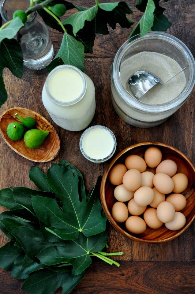 Making fig leaf ice cream