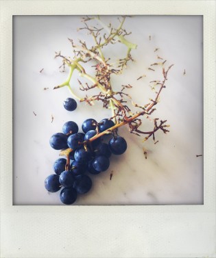 Coronation grapes