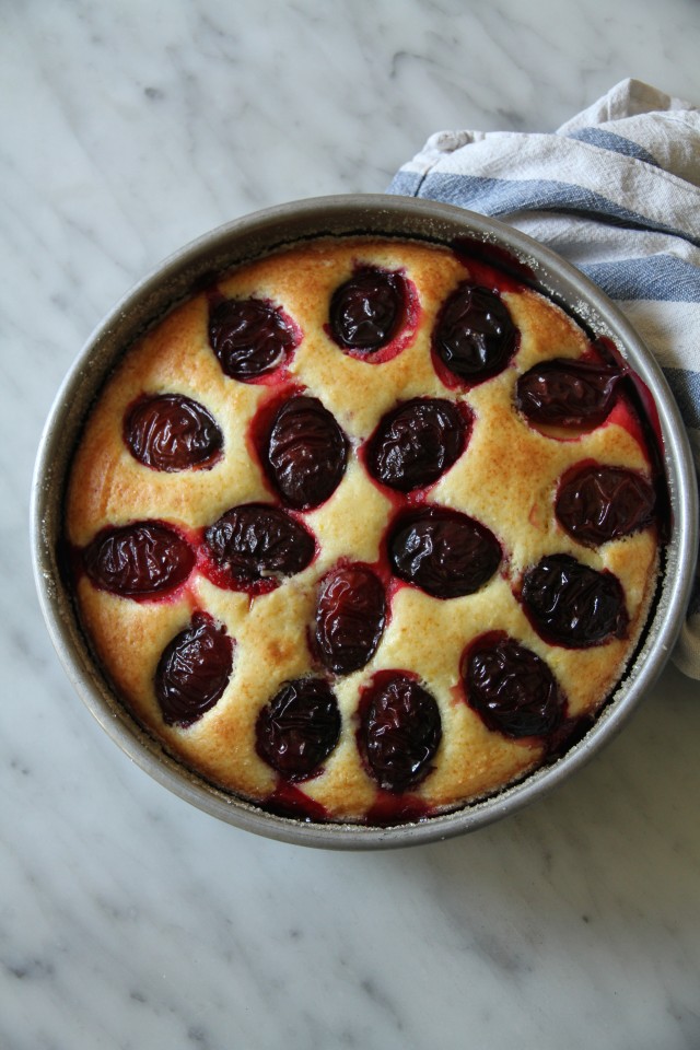 Olive oil ricotta cake